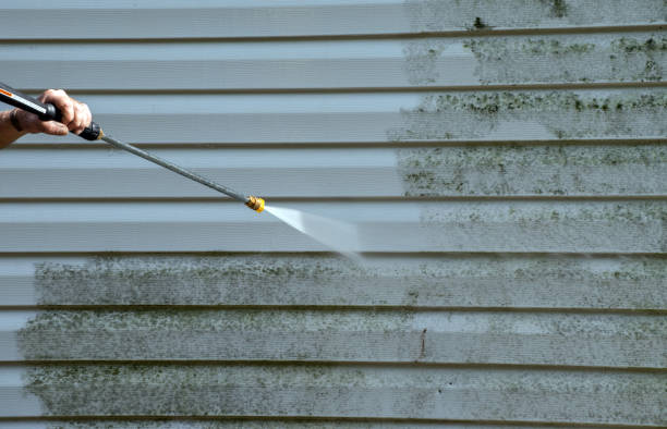 Best Concrete Pressure Washing  in Muleshoe, TX