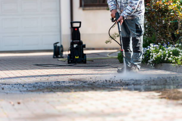 Best Pressure Washing Company Near Me  in Muleshoe, TX