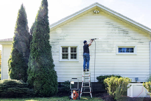 Best Exterior Home Cleaning  in Muleshoe, TX