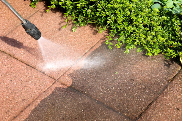 Deck Cleaning Services in Muleshoe, TX